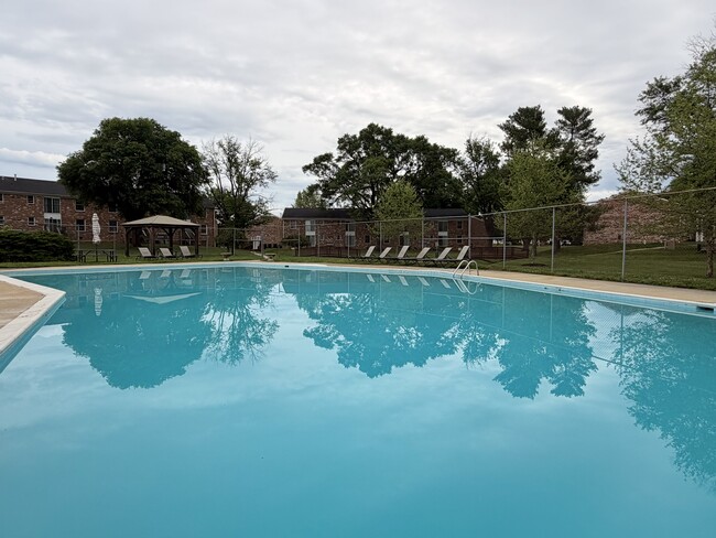 Piscina - Brandon Ladd Apartments & Townhomes