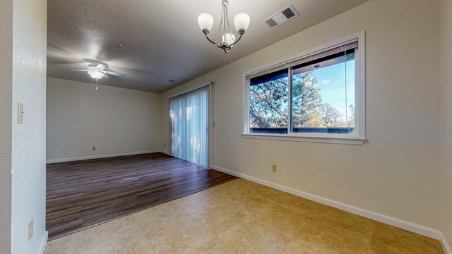 Photo - Montecito Pines