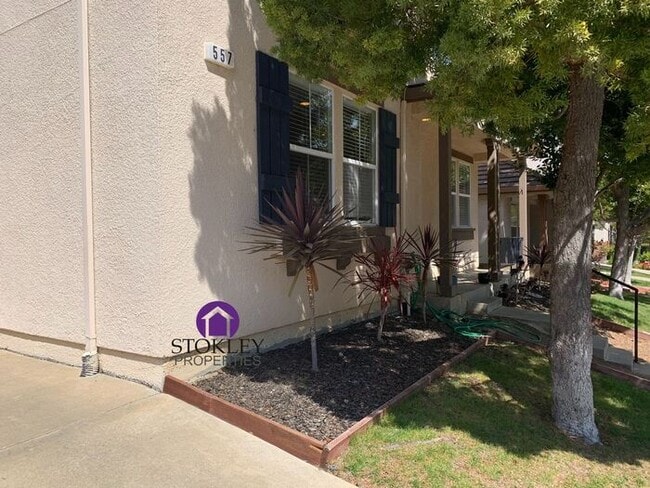 Photo - 557 Dutch Elm Dr
