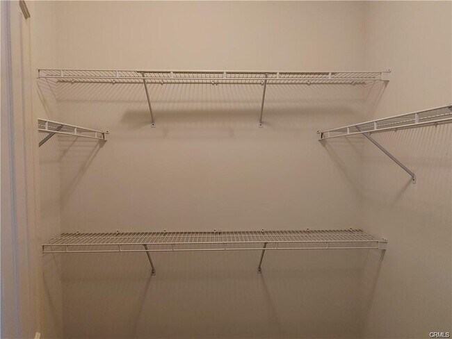 Photo - 47 Straw Flower