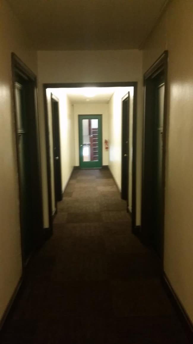 Photo - The Flats of Eden Park