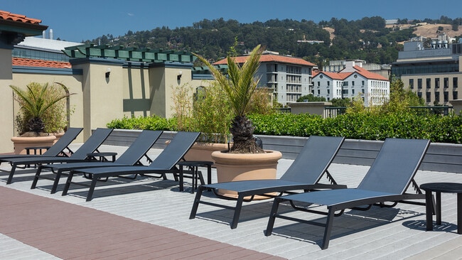 Lounge in the sun on the rooftop deck with chaise lounges and social spaces