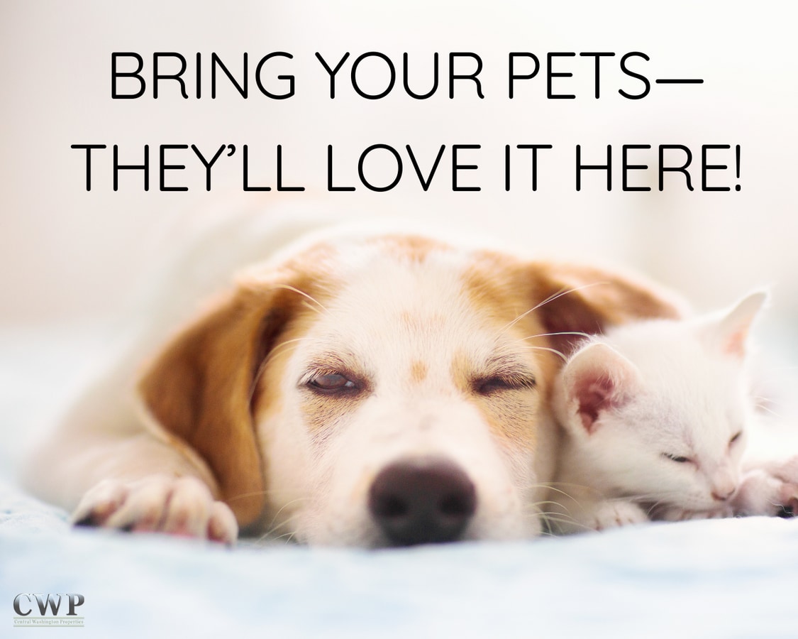 Photo - 4905 Prestige Ct