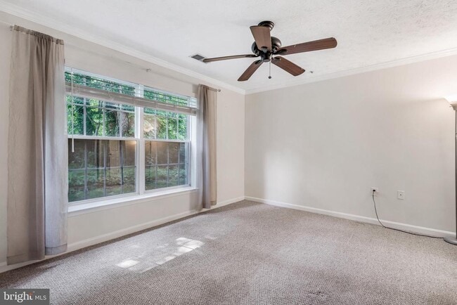 Photo - 653 Burtons Cove Way Unit 1