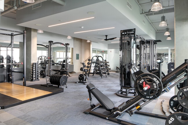 Olympic Gym Equipment