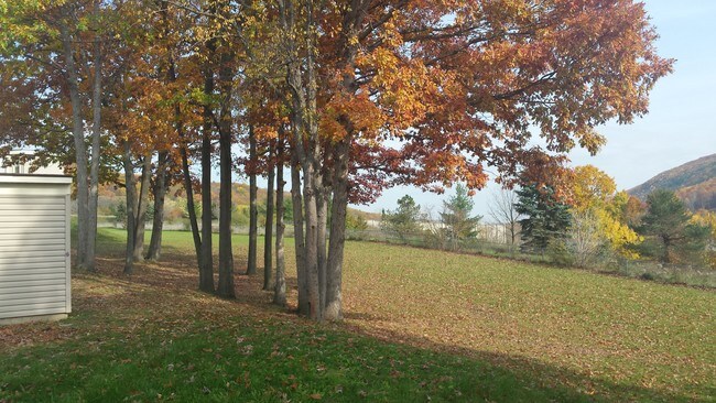 Photo - Stewart Park Apartments