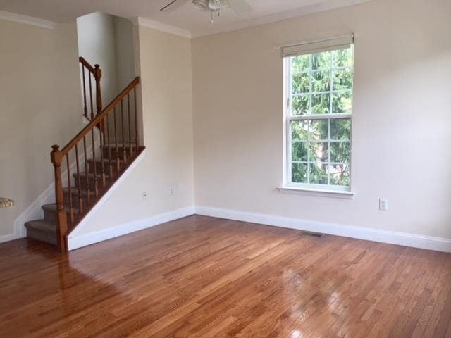 Photo - 15 Alexander Ct