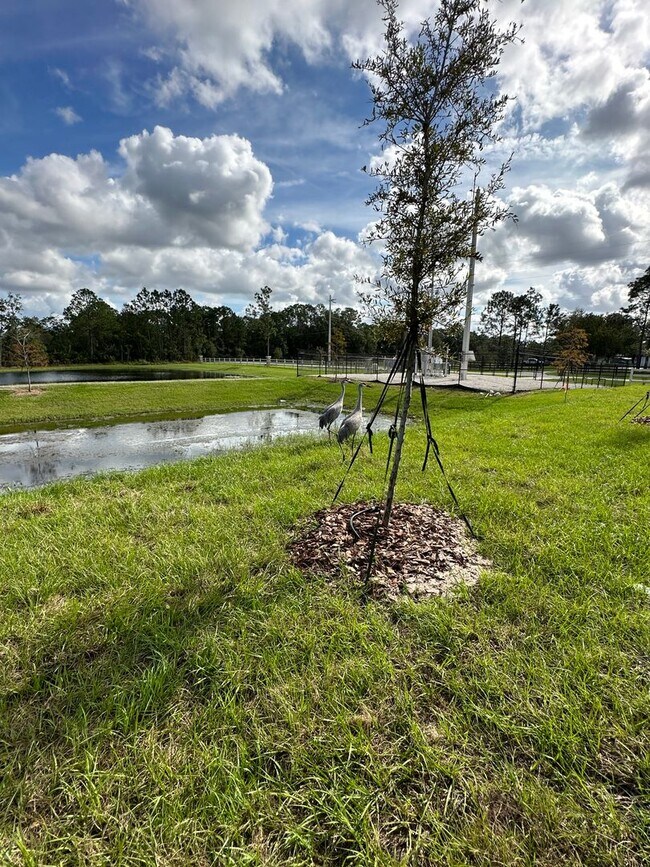 Photo - Stunning 4/2 close to Lake Nona!!