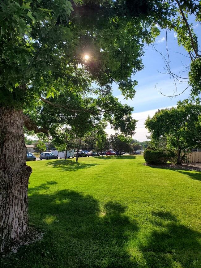 Yard - 5126 Williams Fork Trl Unit 208