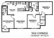 The Cypress