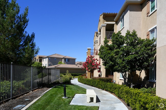 Vista Pointe