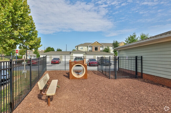 Dog Park