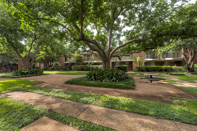 Colony Oaks - Colony Oaks Apartments