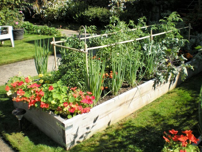 Photo - Lindhurst Apartments