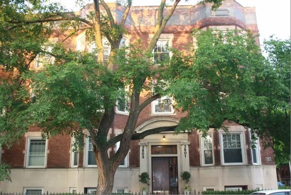 Tree-lined street east of Wrigley Field - 3801 N Wilton Ave Unit 3