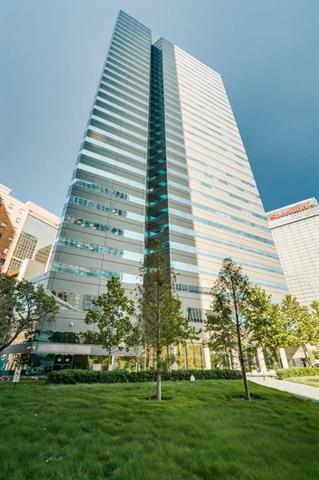 Building Photo - 350 North St. Paul Street Unit 3010 Rental
