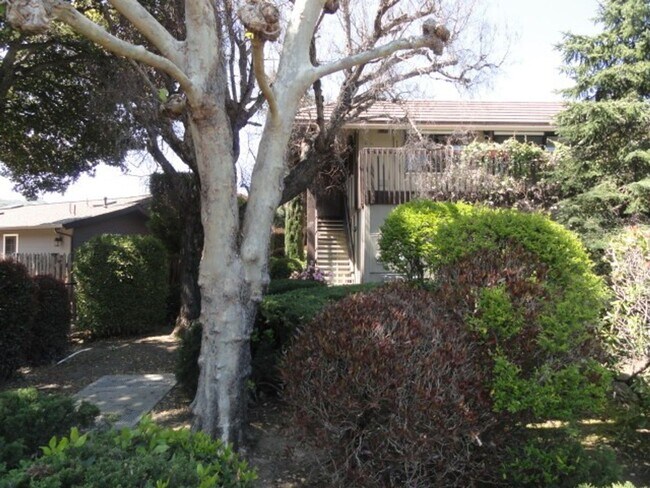 Photo - Carmel Valley Condo