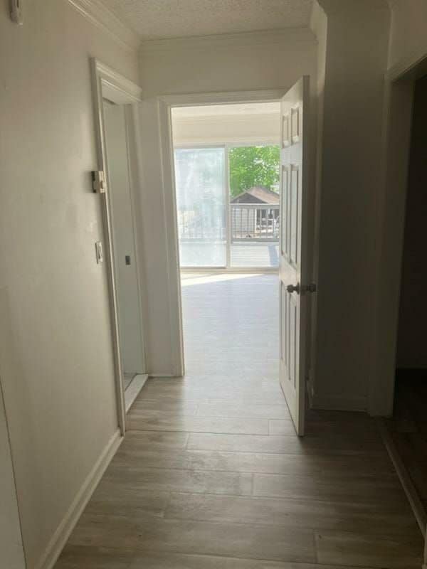 Photo - 841 Whalley Ave Unidad B