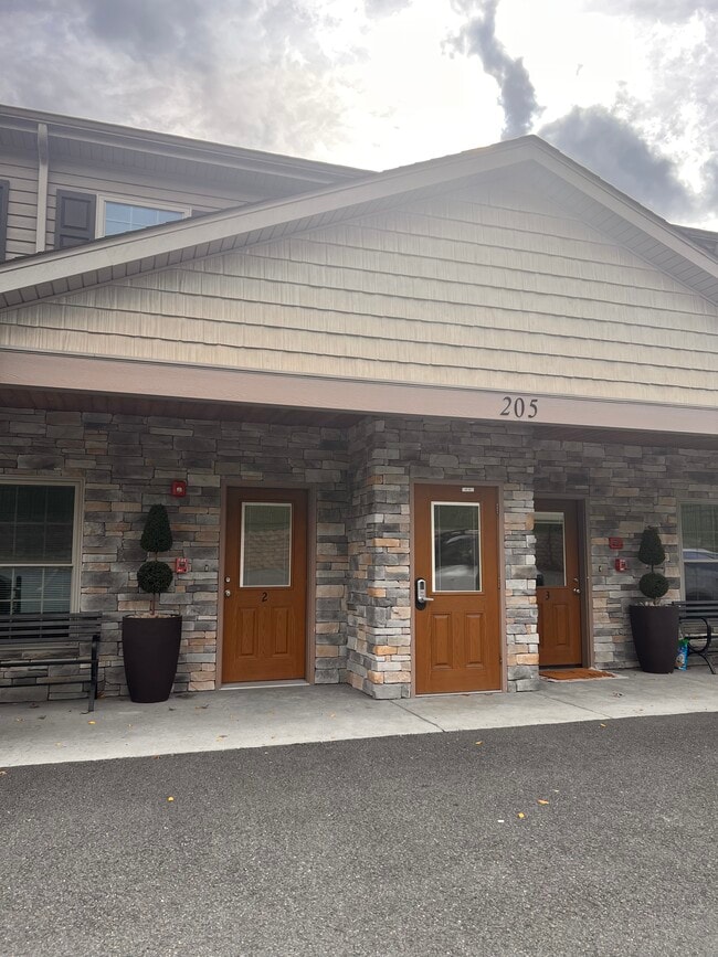 Front Entry - 205 Locust Ave Unit Apartment