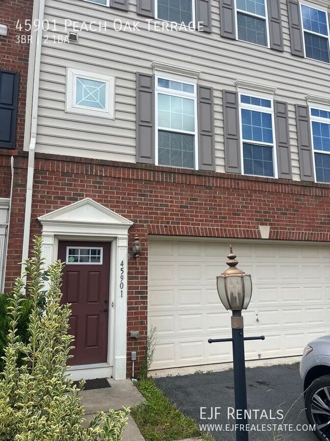 Building Photo - 45901 Peach Oak Terrace Rental