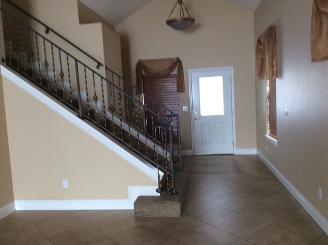 Photo - Silver Oak Gem