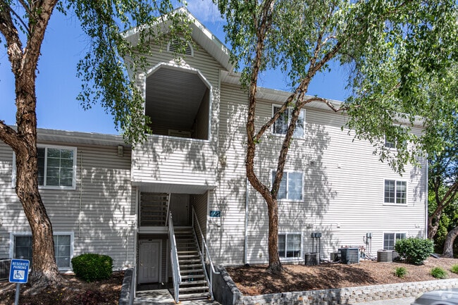 Photo - Spring Creek