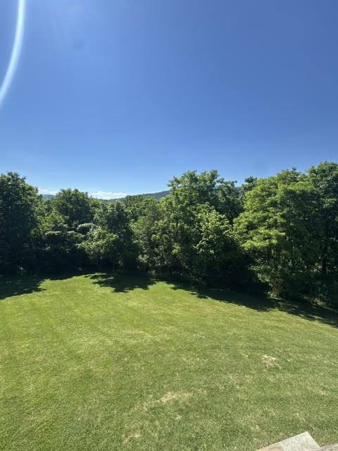 Photo - Mountain Home with Panoramic Skyline Drive Views available June 30th!