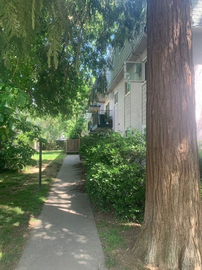Photo - Chateau Apartments