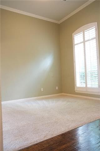 Photo - 1904 Kirby Ln