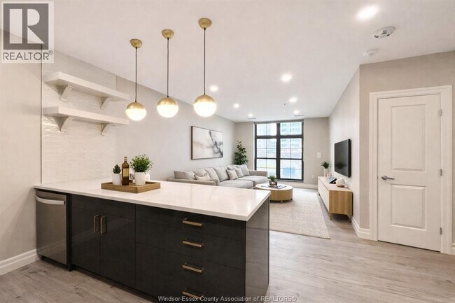 Photo - 531 Pelissier St Unité 204