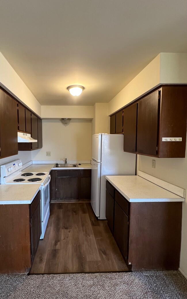 Photo - Continental Garden