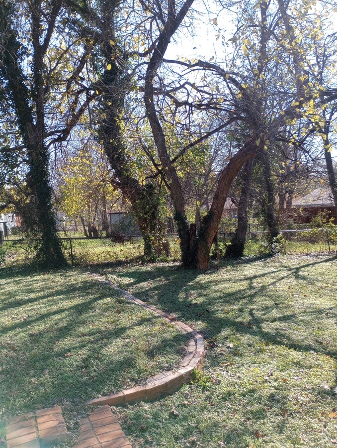 Photo - 1214 Adelaide Dr