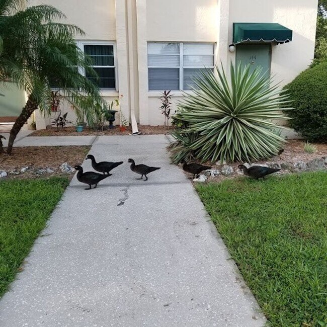 Photo - NEW PRICE / Summer Lakes-N Tamiami Trail Casa Adosada