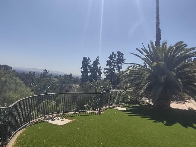 Photo - 804 Cloverview Dr