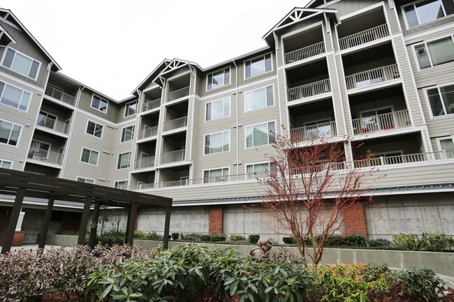 Arbor Village
