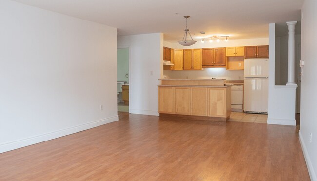 Photo - 65 Bonaccord Street