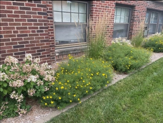 Photo - The Brady Apartments