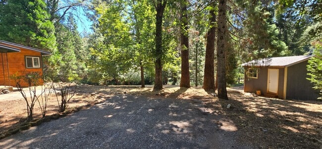 Photo - 3 bed 2 bath home surrounded by nature