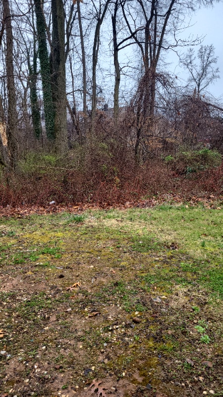 Photo - 6463 Woodgreen Cir