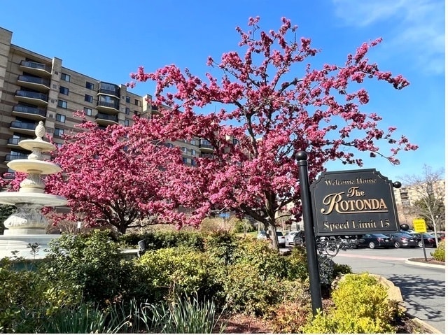 The Rotonda - 8360 Greensboro Dr Unit 217