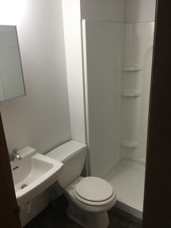 Bathroom - 221 4th St NE Unidad 223