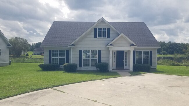 4 Bedroom/2 Bath home in Lowndes County - 4 Bedroom/2 Bath home in Lowndes County