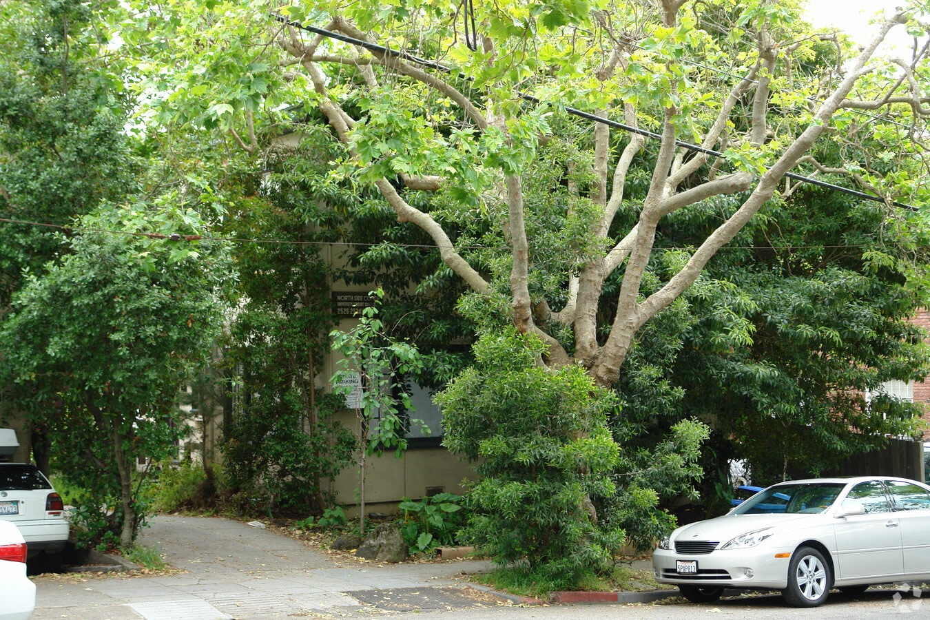 Northside - Northside