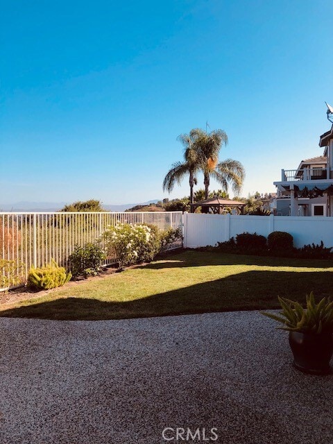 Photo - 33 Hollyleaf