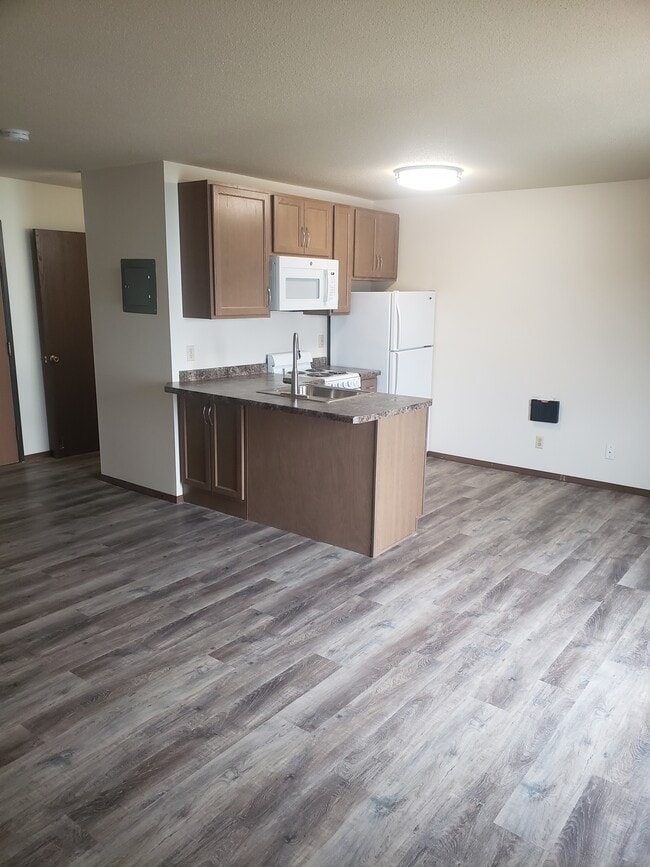 Building Photo - 114 2nd Ave N Unit 1