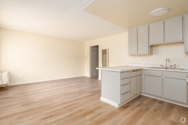 1BR, 1BA - 527SF - Living Room