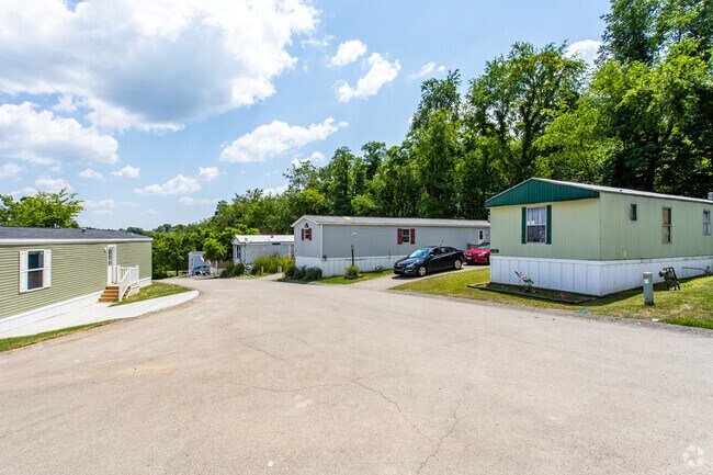 New Colony - New Colony