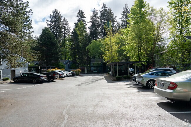 Photo - Kirkland Springs