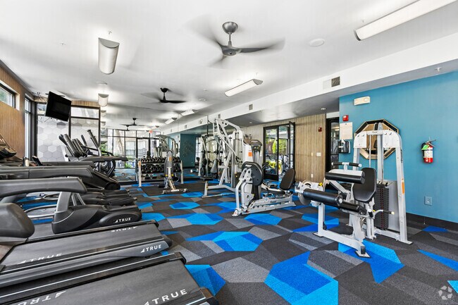 Gimnasio