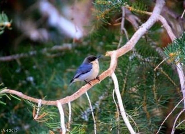 Building Photo - 310 Kris Kringle Rd